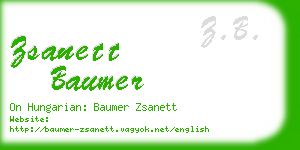 zsanett baumer business card